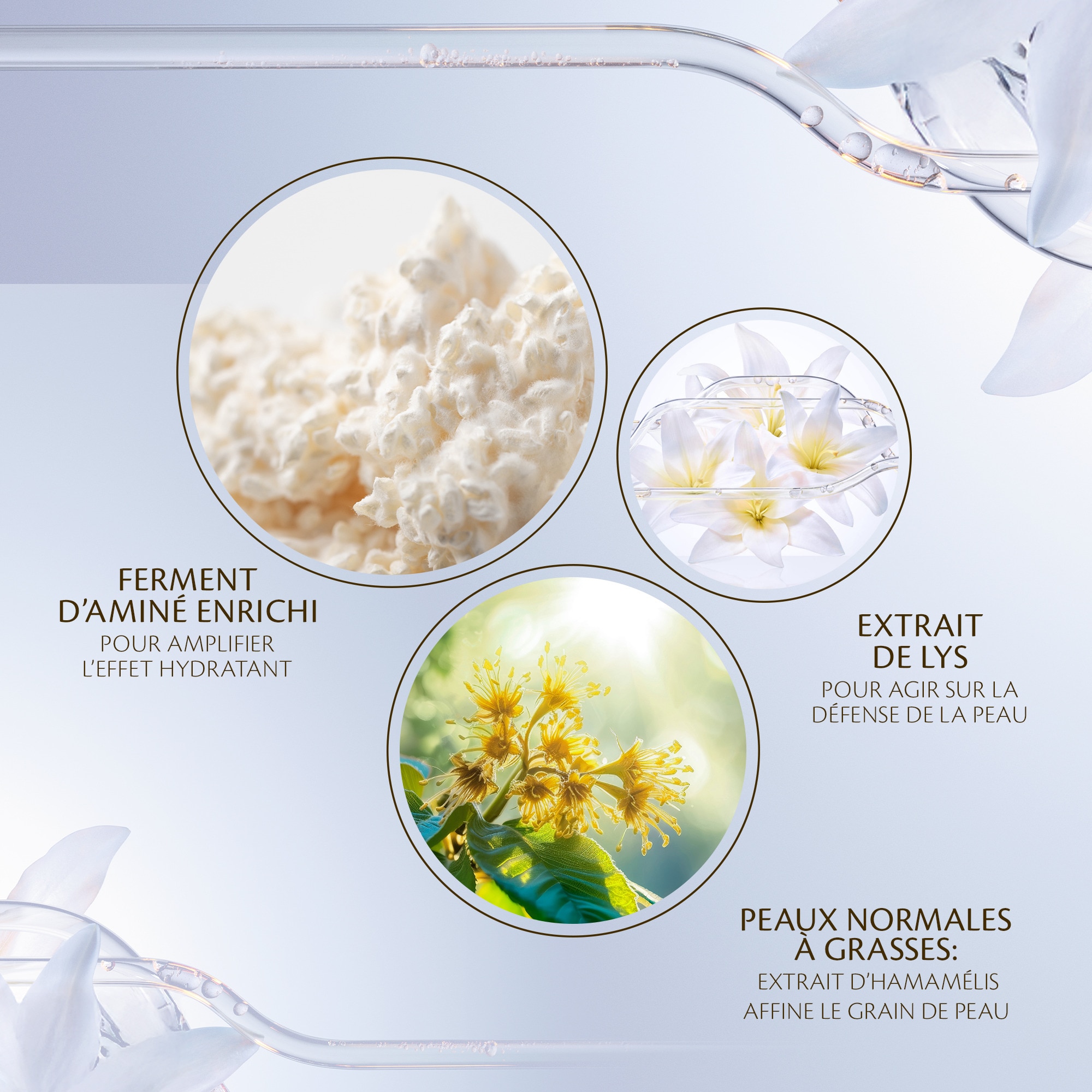 Lotion essentielle hydro-clarifiante