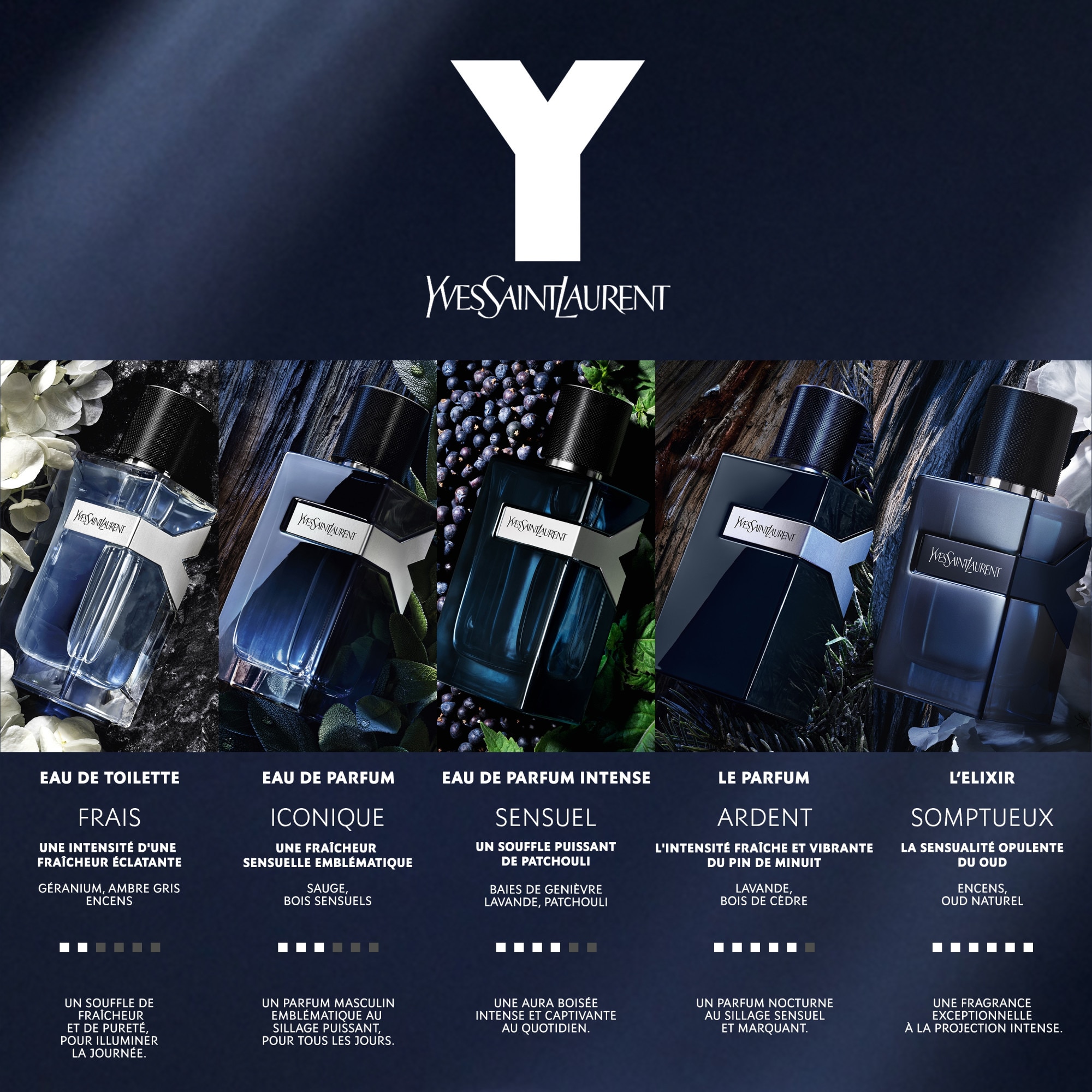 Parfum fougère ambré