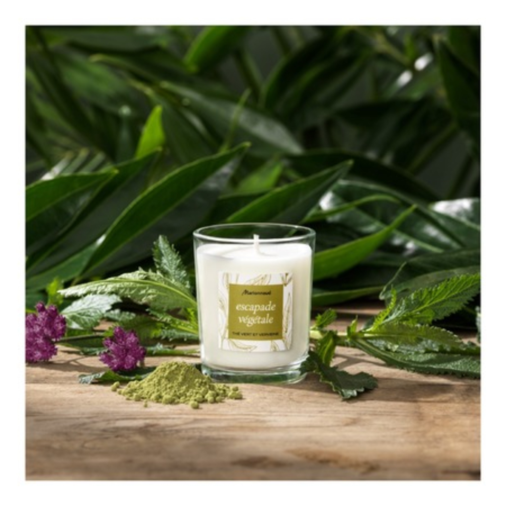 Escapade Végétale - Thé Vert et Verveine