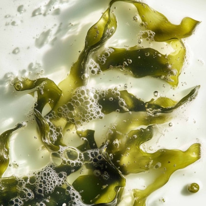 Bain volumateur aux algues