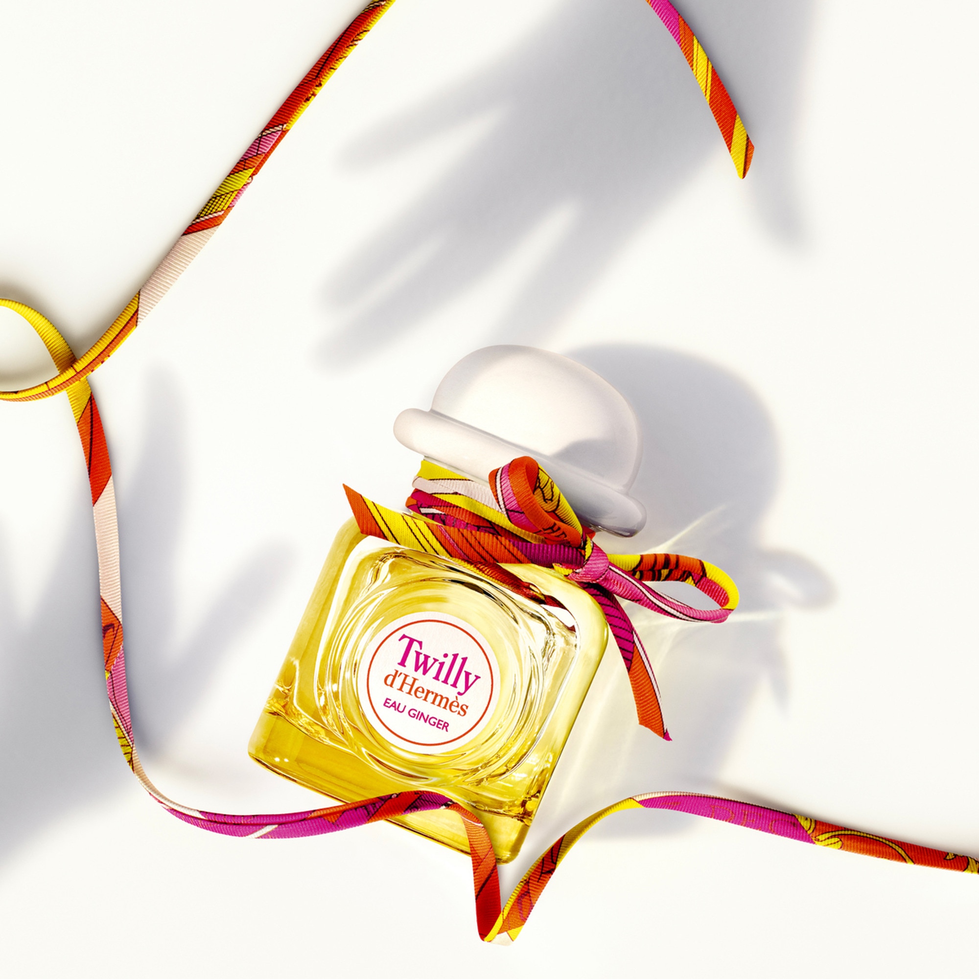 50ML Hermès TWILLY D'HERMÈS Eau ginger- eau de parfum  1 of 4 