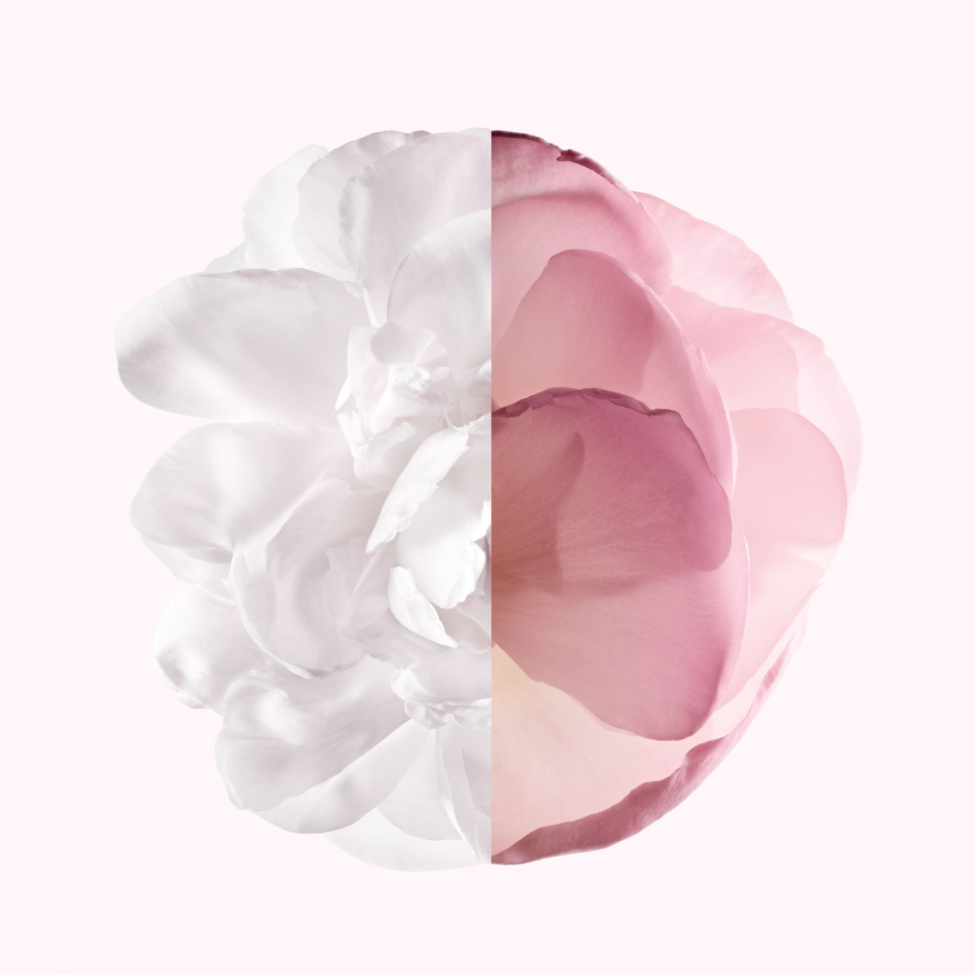 Eau de parfum very floral