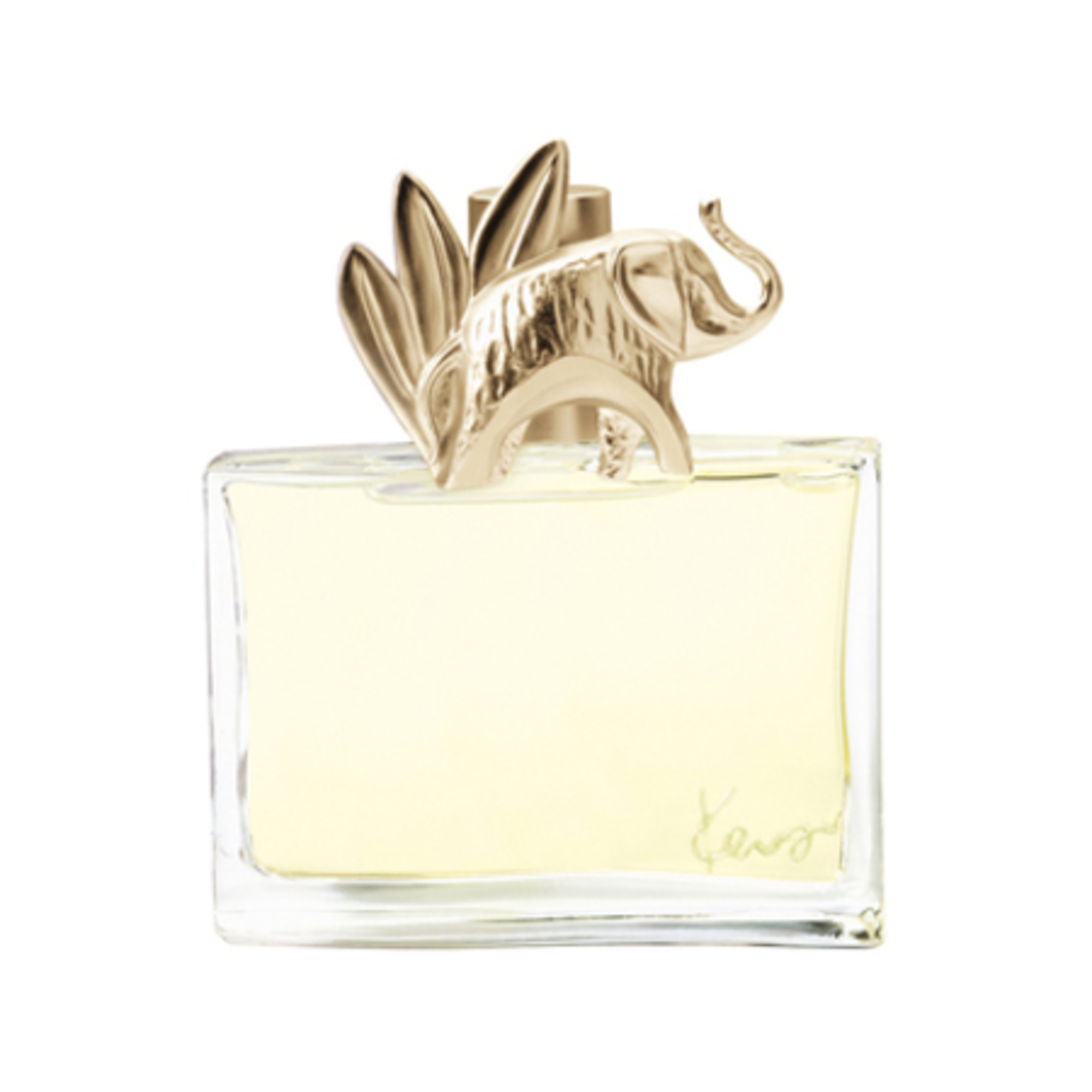 100ML Kenzo KENZO JUNGLE Eau de Parfum  Eau de Parfum