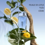 100ML Kenzo L'EAU KENZO POUR HOMME Eau de toilette  3 of 4 Eau de toilette