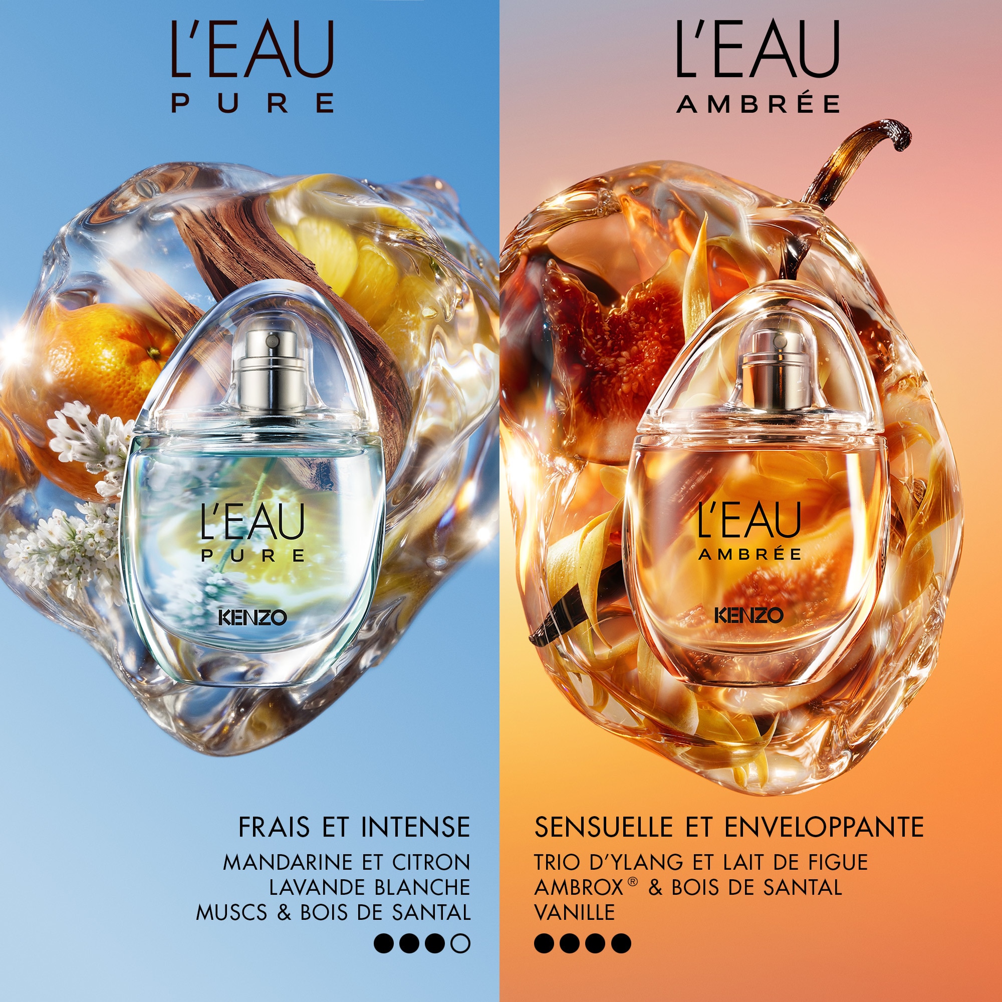 50mL Kenzo L'EAU PURE Eau de parfum  1 of 4 