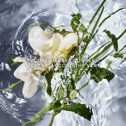 Herba fresca - eau de toilette