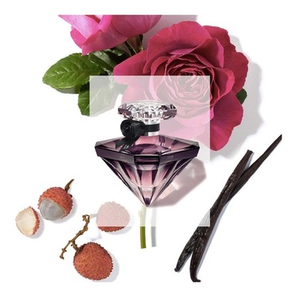 Eau de Parfum Femme - Florale & Sensuelle