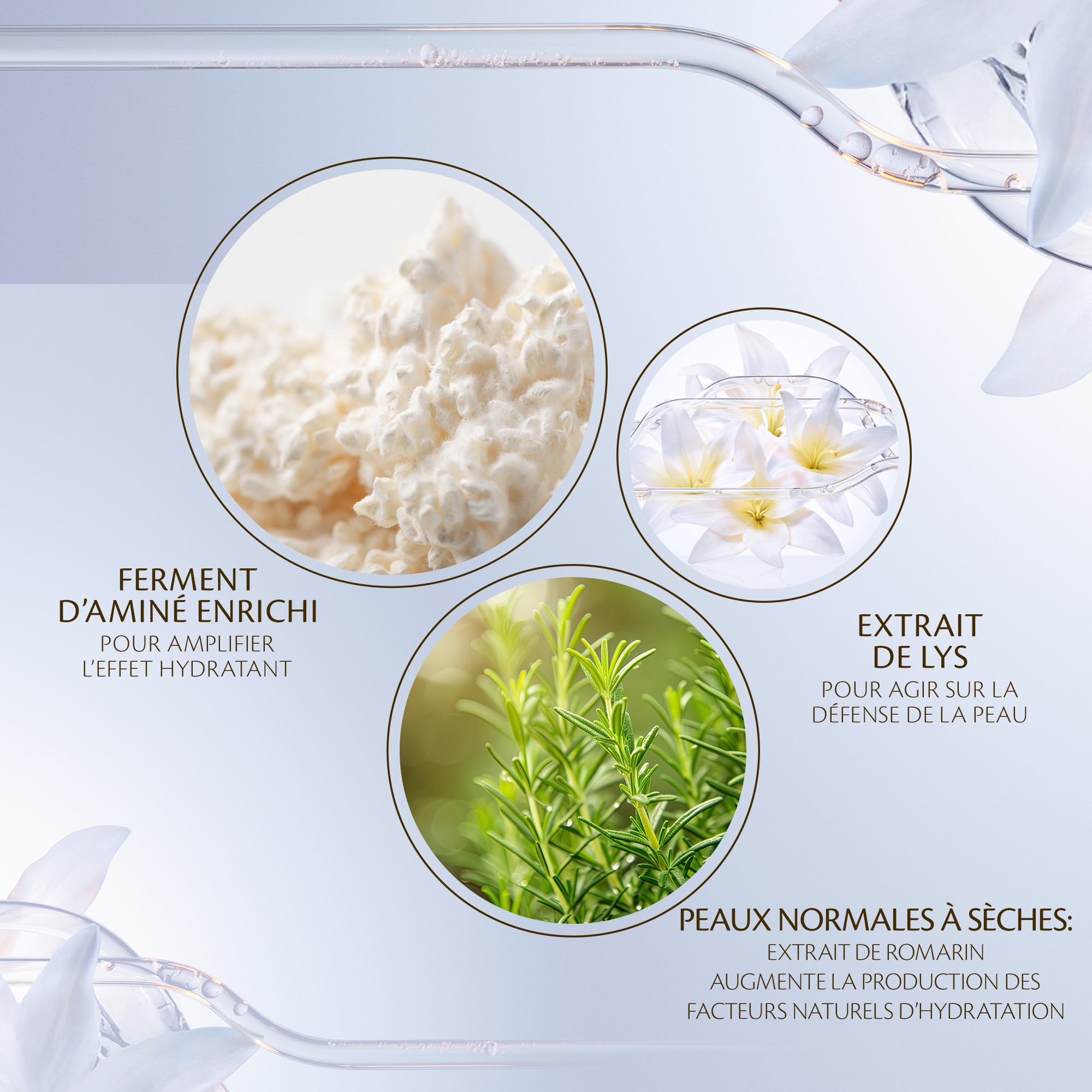 Lotion essentielle hydro adoucissante