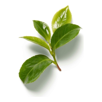 Gel lavant pour les mains lotus & thé blanc