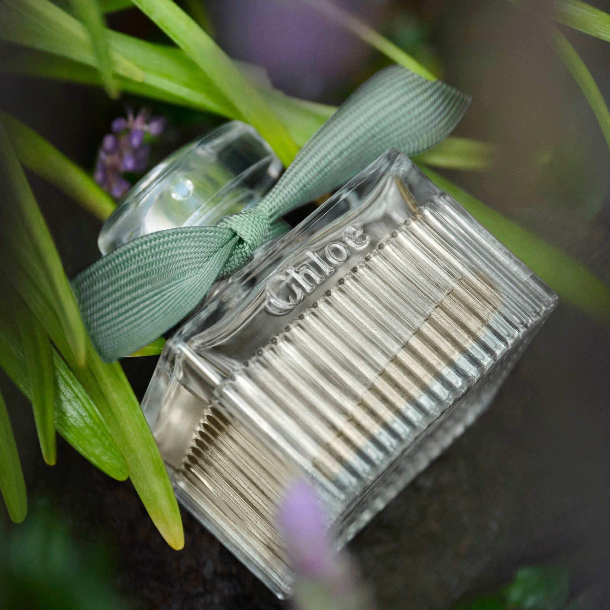 Eau de parfum - recharge