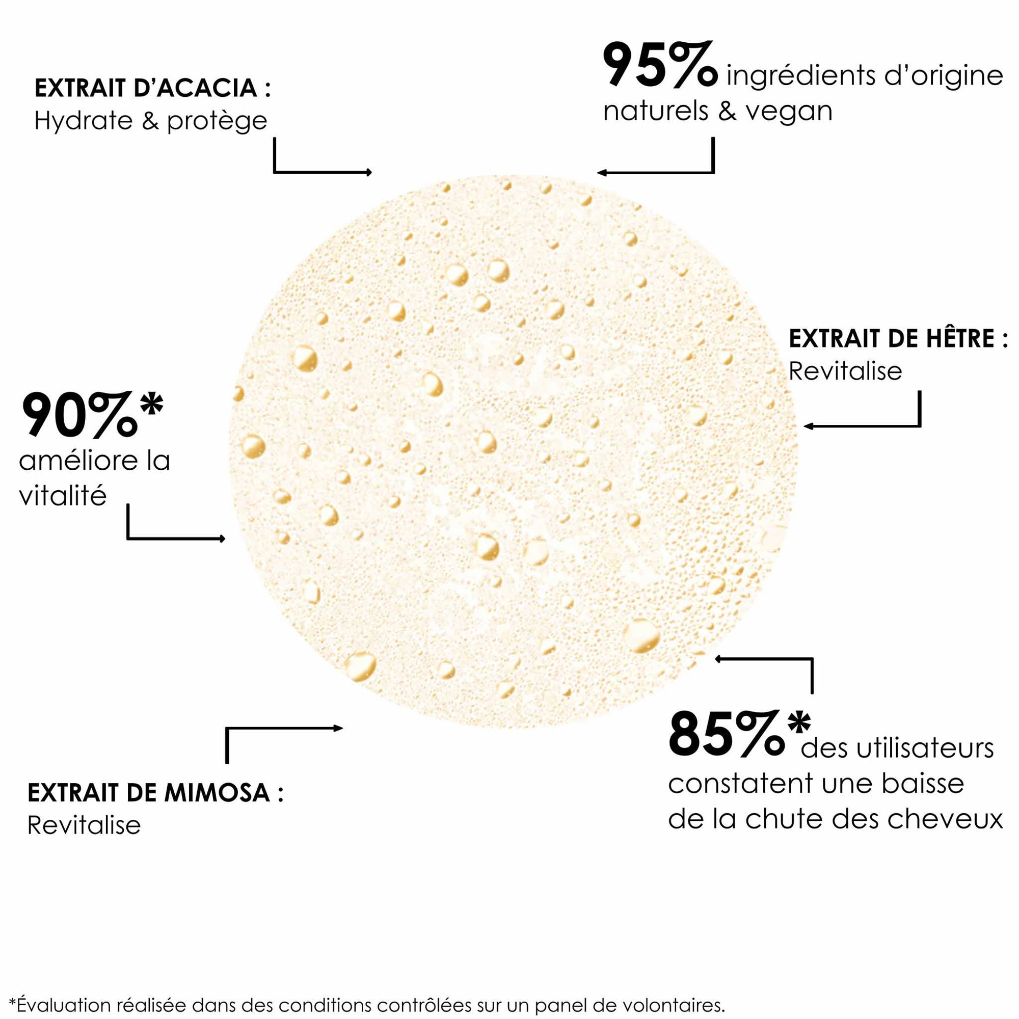 150ML Leonor Greyl COMPLEXE ÉNERGISANT Soin profond sans rinçage  3 of 4 Soin profond sans rinçage
