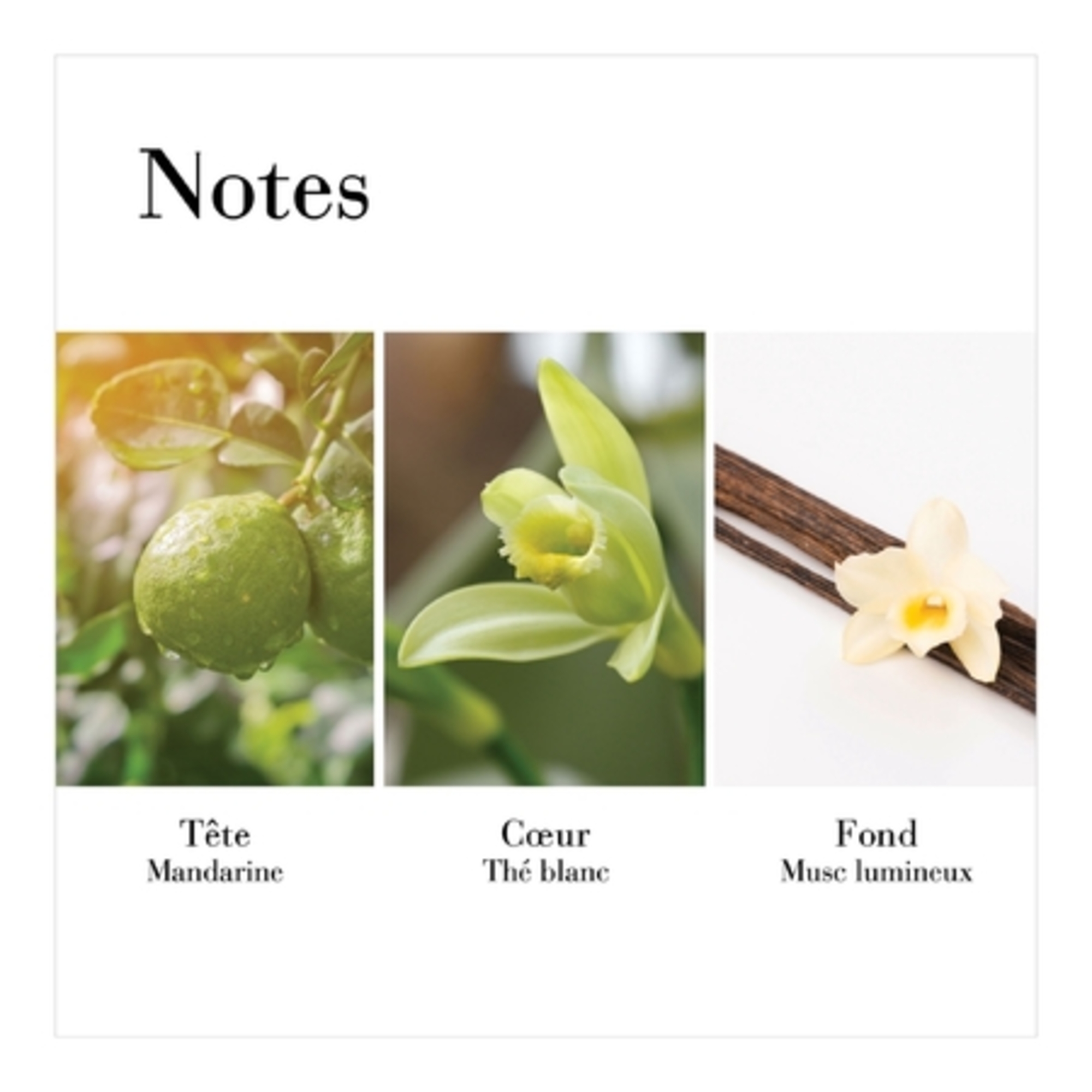 Mandarin Blossom - Eau de Toilette