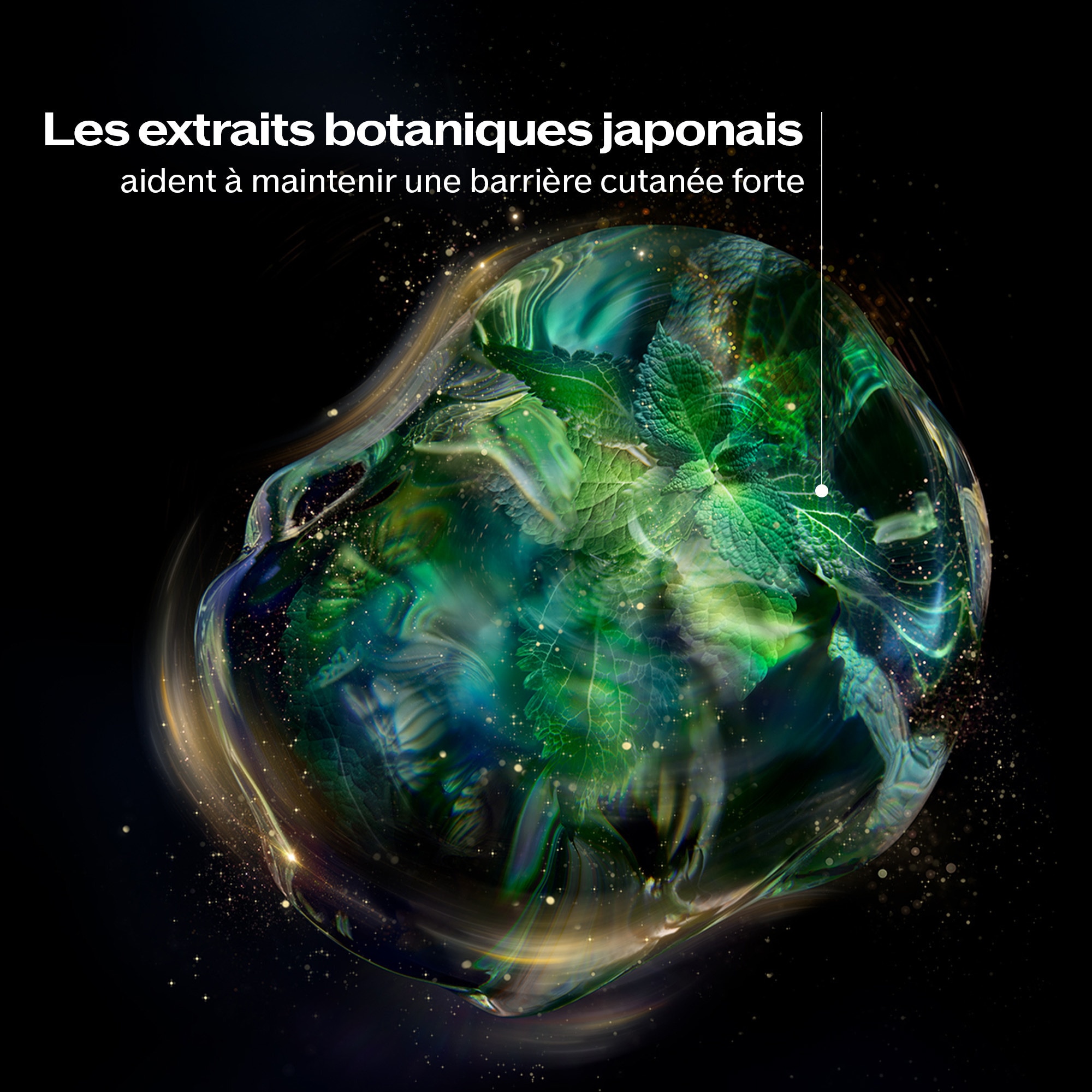 Crème nuit régénérante totale