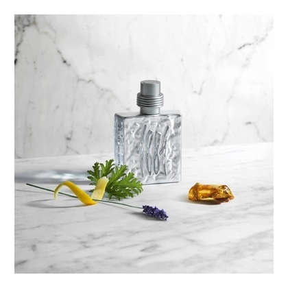 Eau de toilette