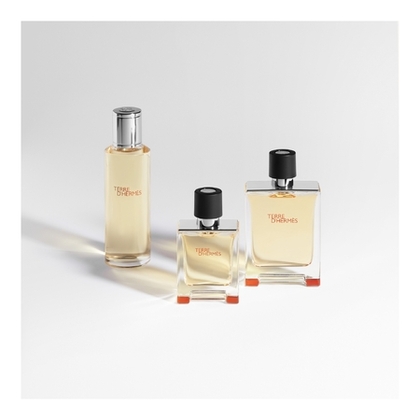 125ML Hermès TERRE D'HERMÈS Eau de toilette - recharge  1 of 4 