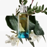 200ML Hermès UN JARDIN EN MEDITERRANEE Eau de toilette - recharge 3 of 4 Eau de toilette - recharge