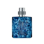 100mL CERRUTI 1881 CERRUTI 1881 SILVER NIGHT Eau de parfum  1 of 4 Eau de parfum