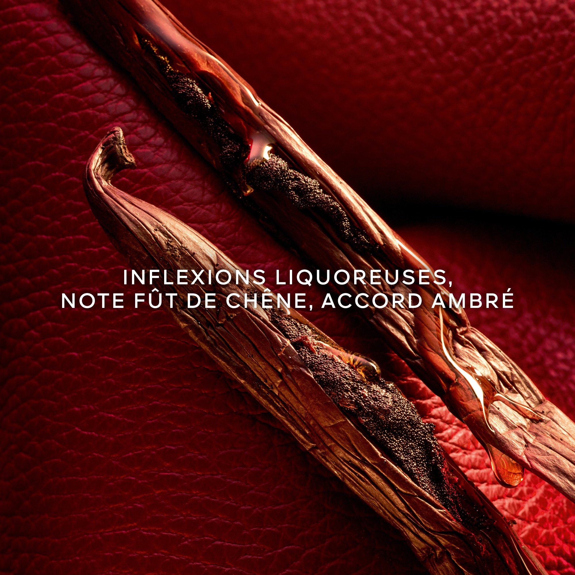 Parfum édition limitée