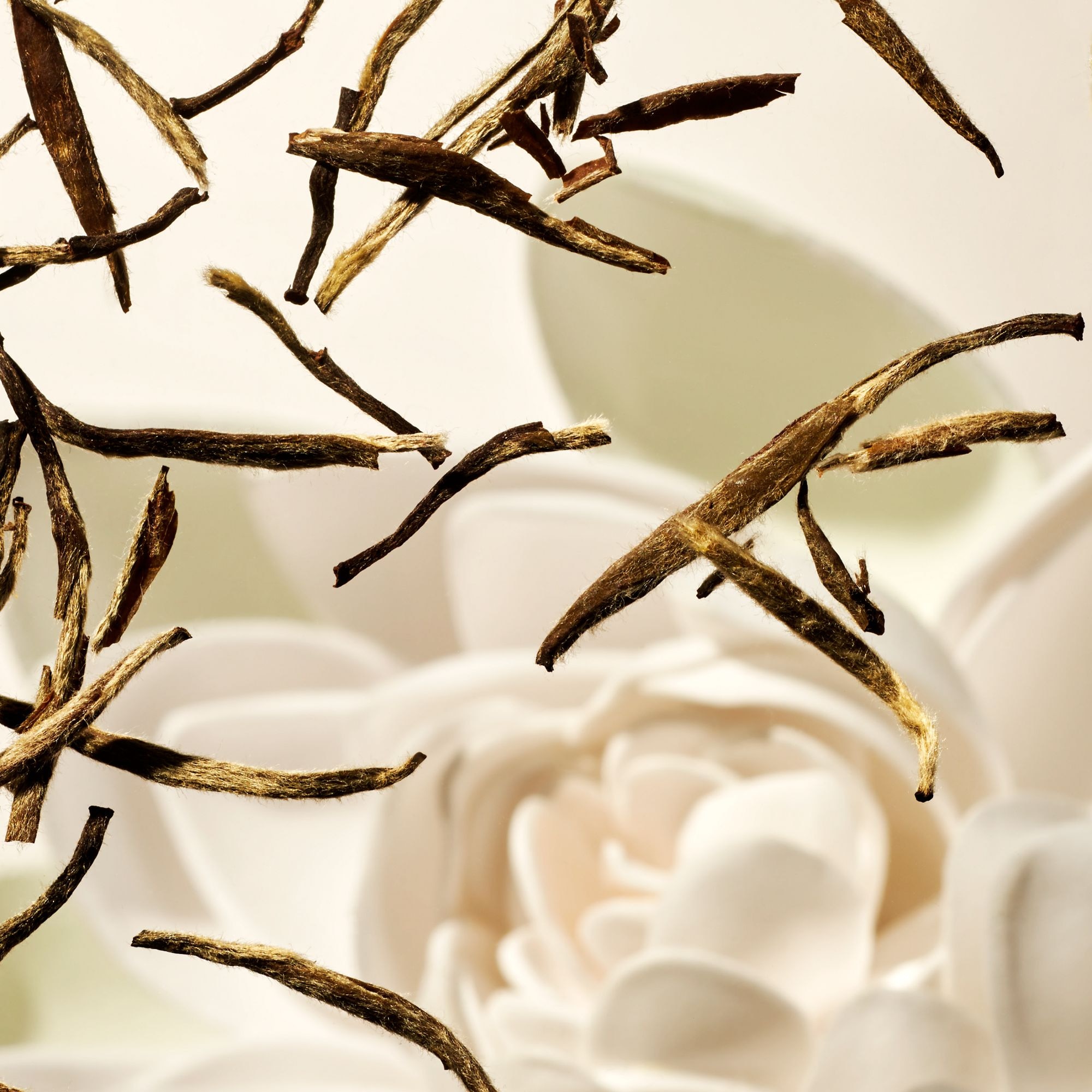 Mousse hydratante corps