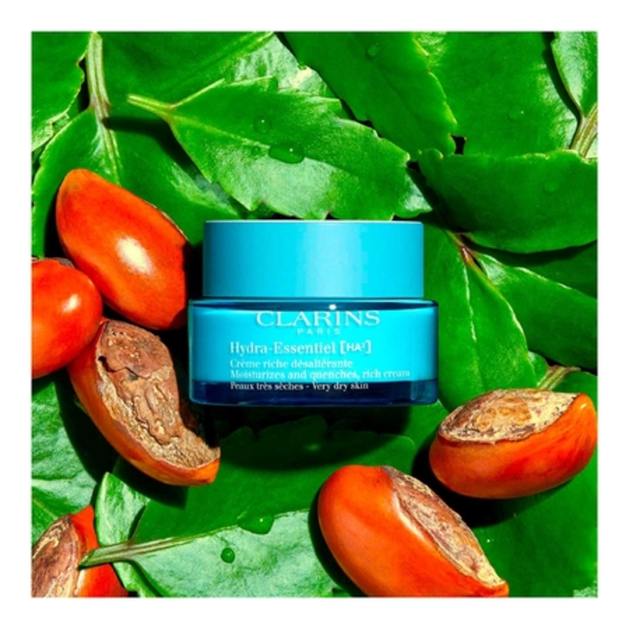 Crème riche désaltérante - peaux très sèches