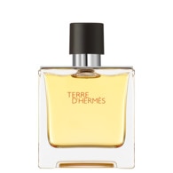 Hermès TERRE D'HERMÈS Parfum