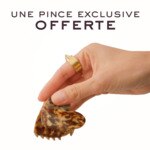 Nuxe LE GLOW ULTIME Coffret noël  4 of 4 Coffret noël