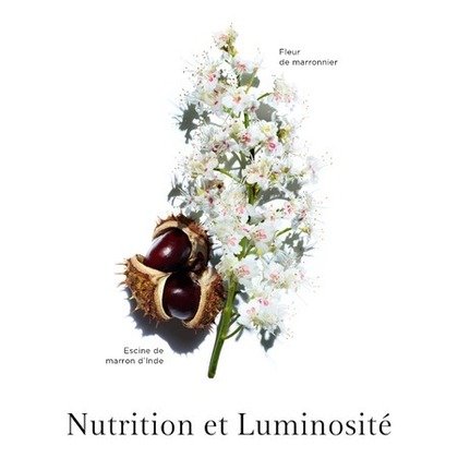 Crème nuit reconstituante intense Nutri-Lumière