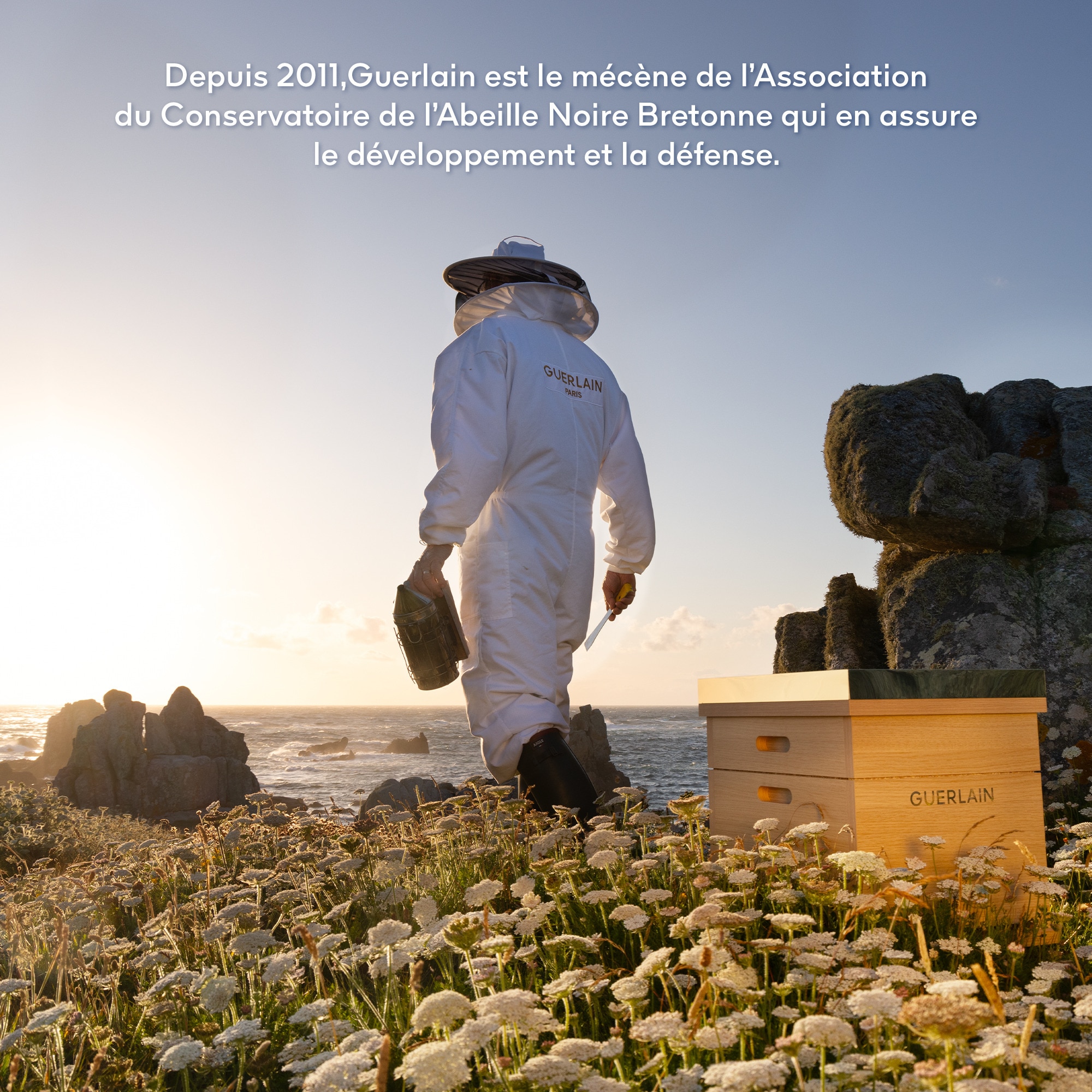 La brosse de soin cuir chevelu et cheveux