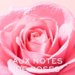 200ML Nuxe VERY ROSE Lait démaquillant onctueux  3 of 4 Lait démaquillant onctueux