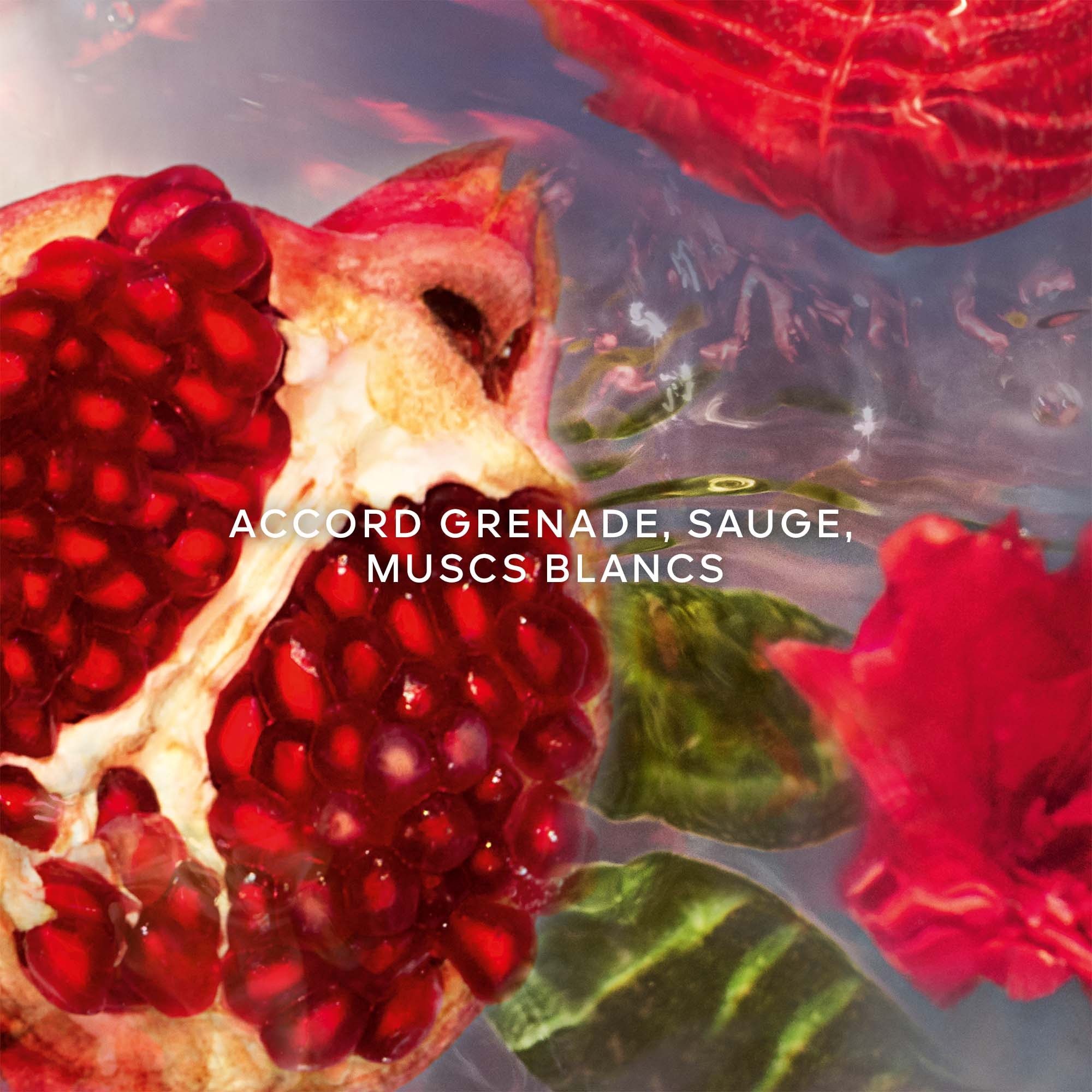 Granada salvia - eau de toilette