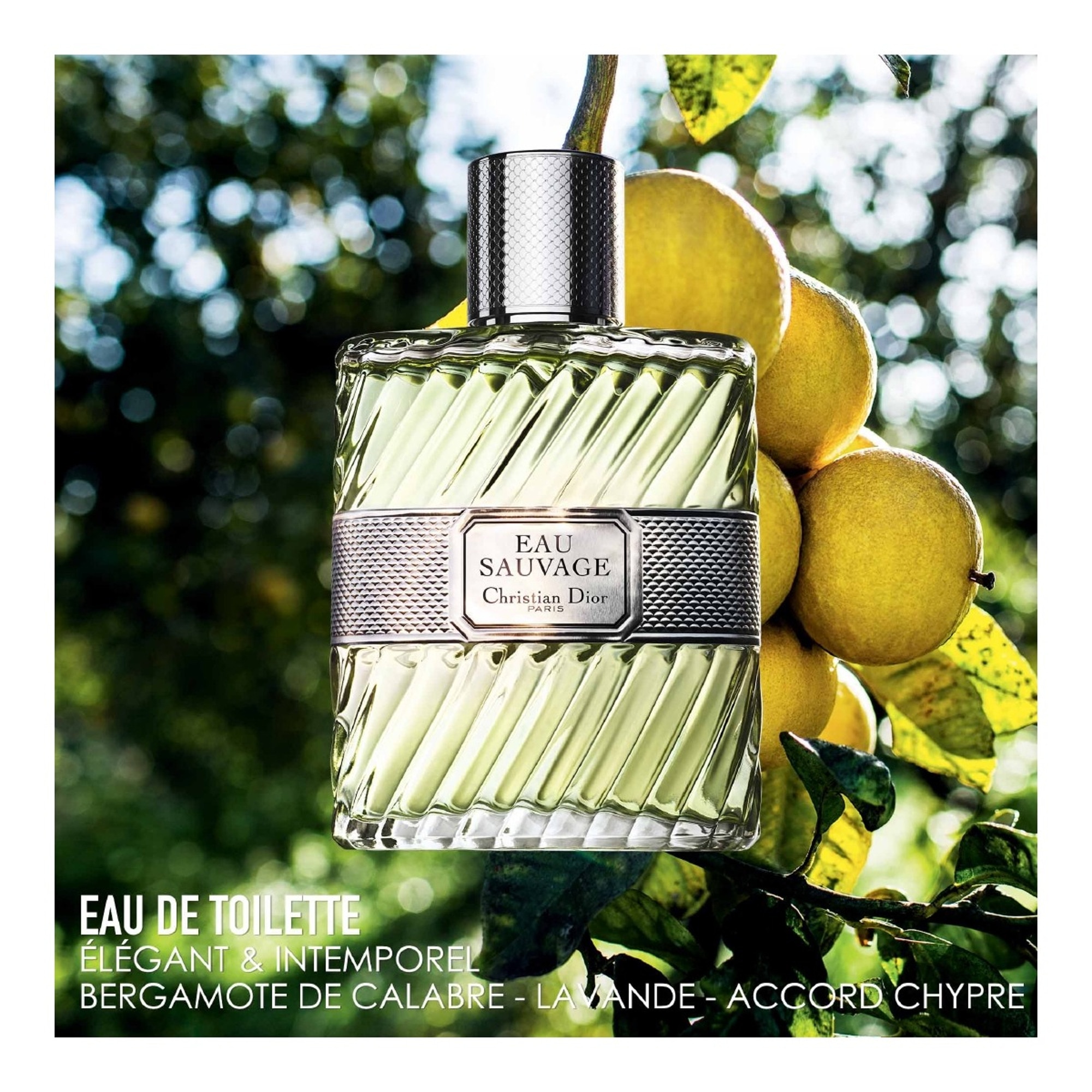 100ML DIOR EAU SAUVAGE Eau de toilette - flacon  1 of 4 