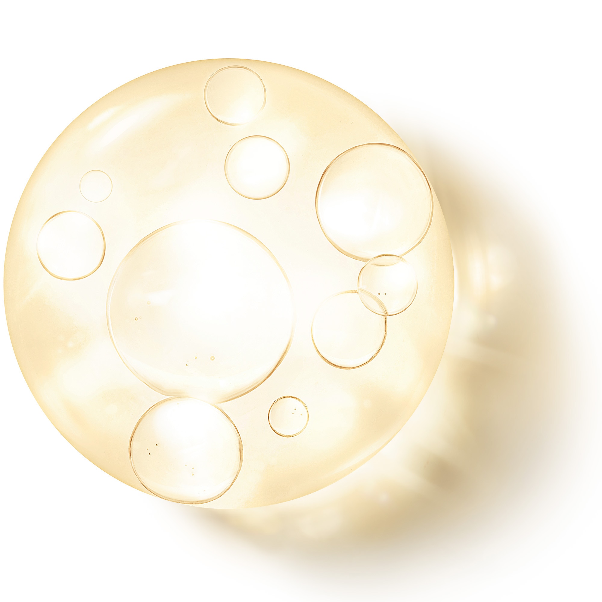 L'huile fondamentale