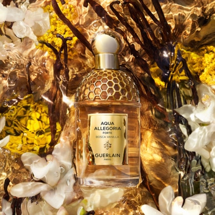 Bosca vanilla - eau de parfum