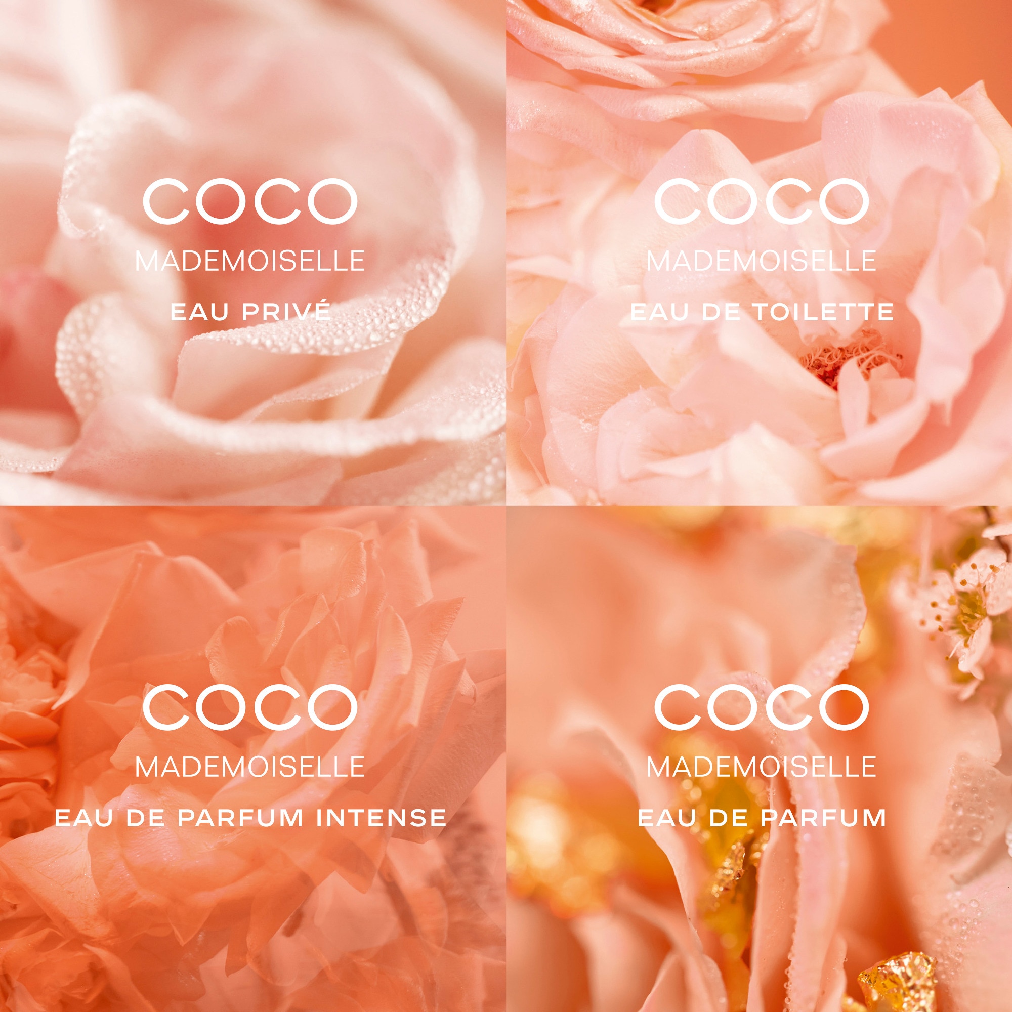 50mL CHANEL COCO MADEMOISELLE Eau de parfum intense  1 of 3 