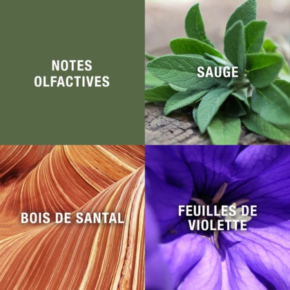 Eau de toilette