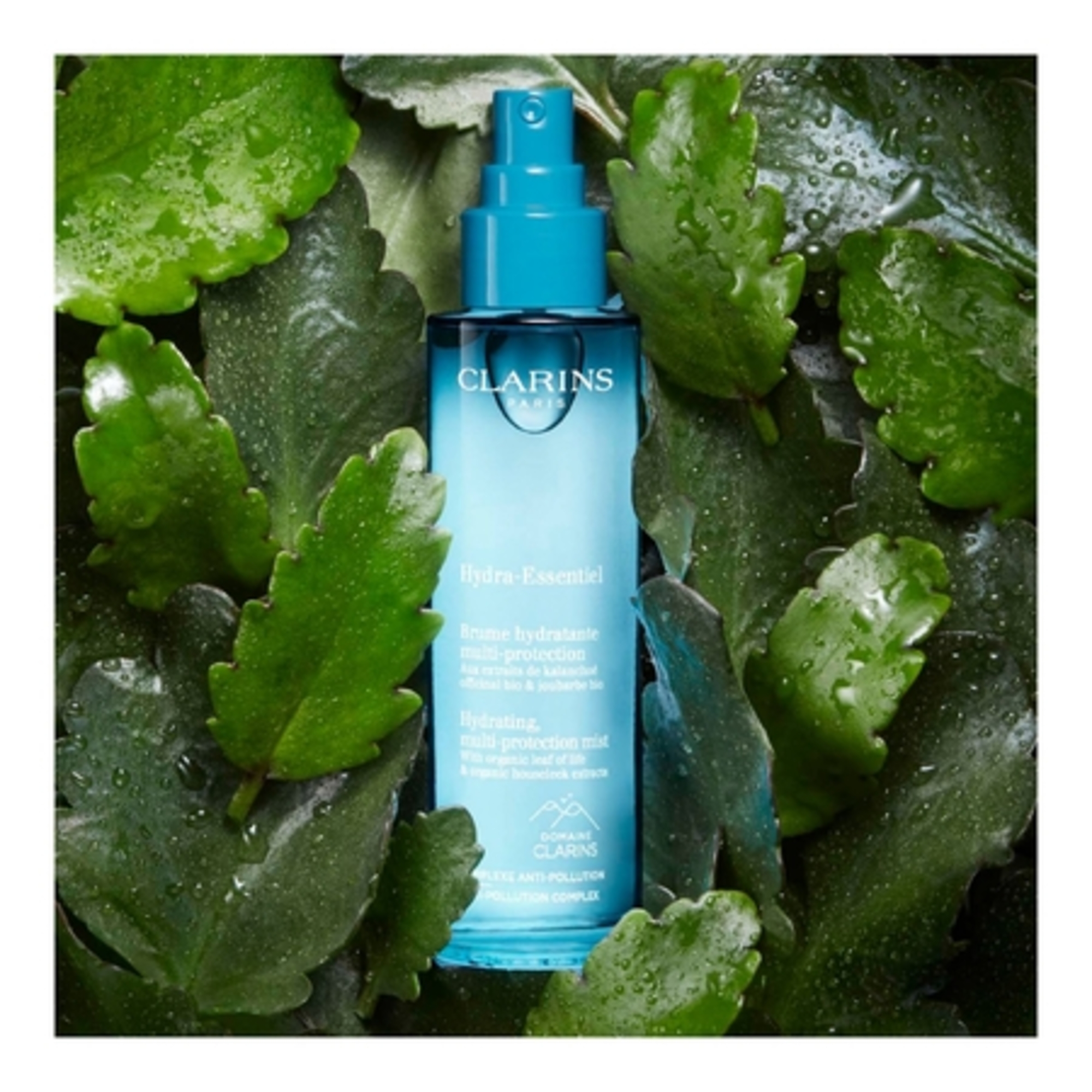 Brume hydratante multi-protection
