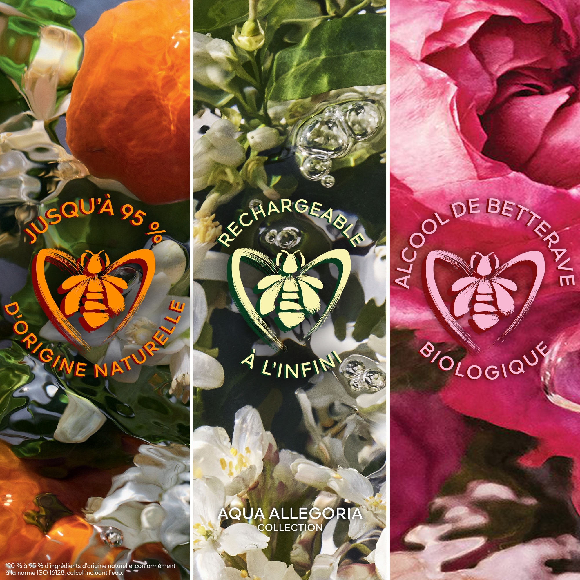 Bergamote calabria - eau de toilette