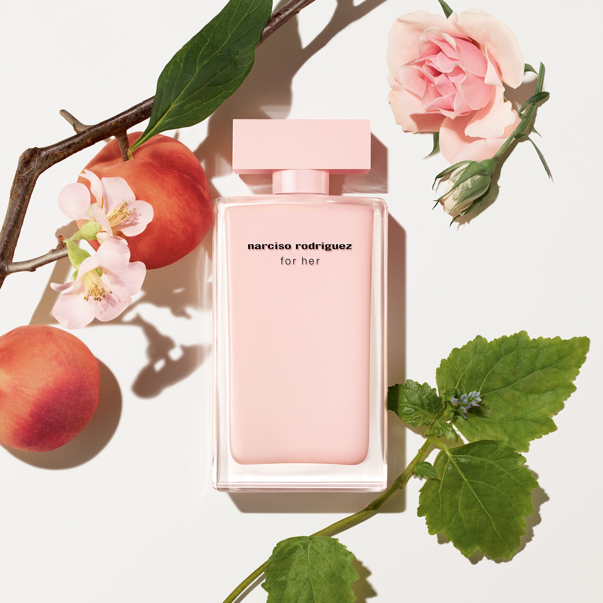50ML Narciso Rodriguez FOR HER Eau de parfum 1 of 4