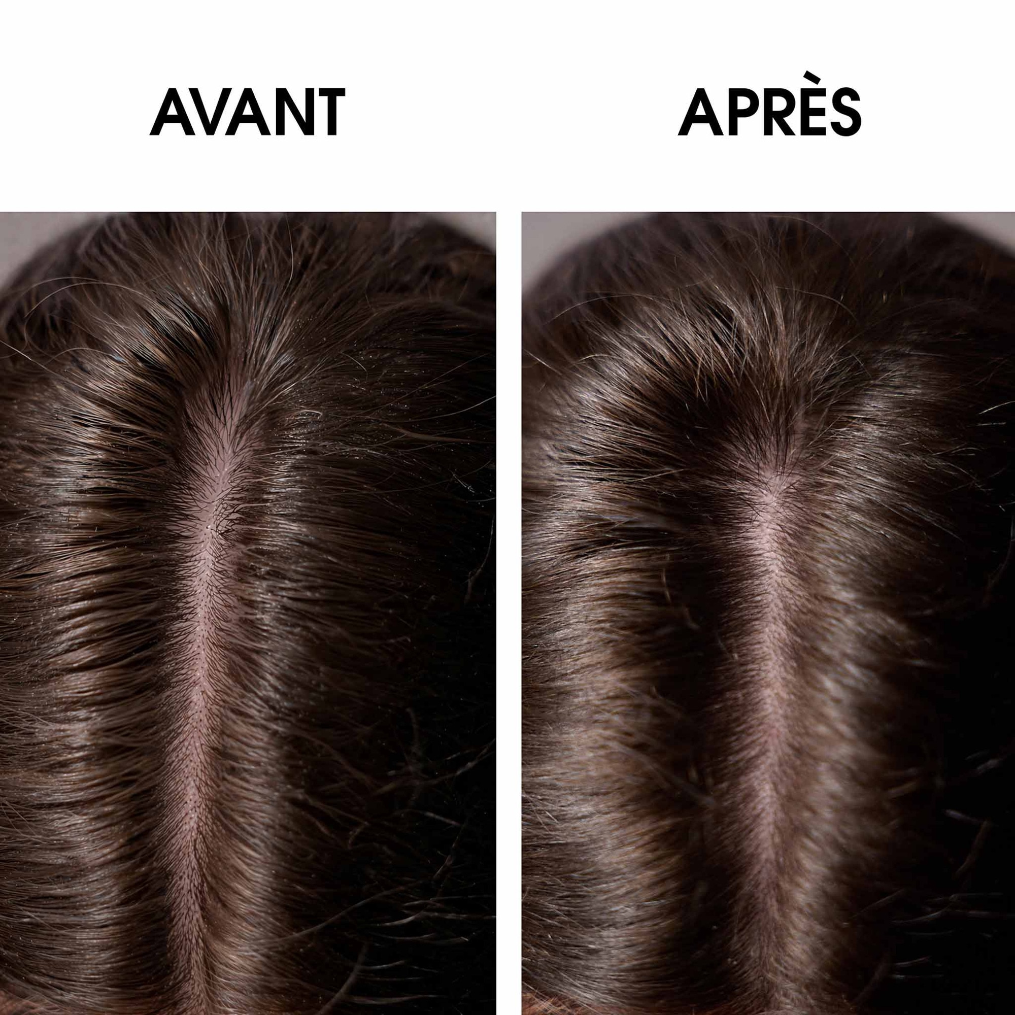 200ML Leonor Greyl BAIN TS SHAMPOOING Bain équilibrant pour cuir chevelu gras, pointes sèches 4 of 4 Bain équilibrant pour cuir chevelu gras, pointes sèches