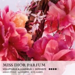 20ML DIOR MISS DIOR Parfum roller-pearl - notes florales fruitées et boisées 3 of 4 Parfum roller-pearl - notes florales fruitées et boisées