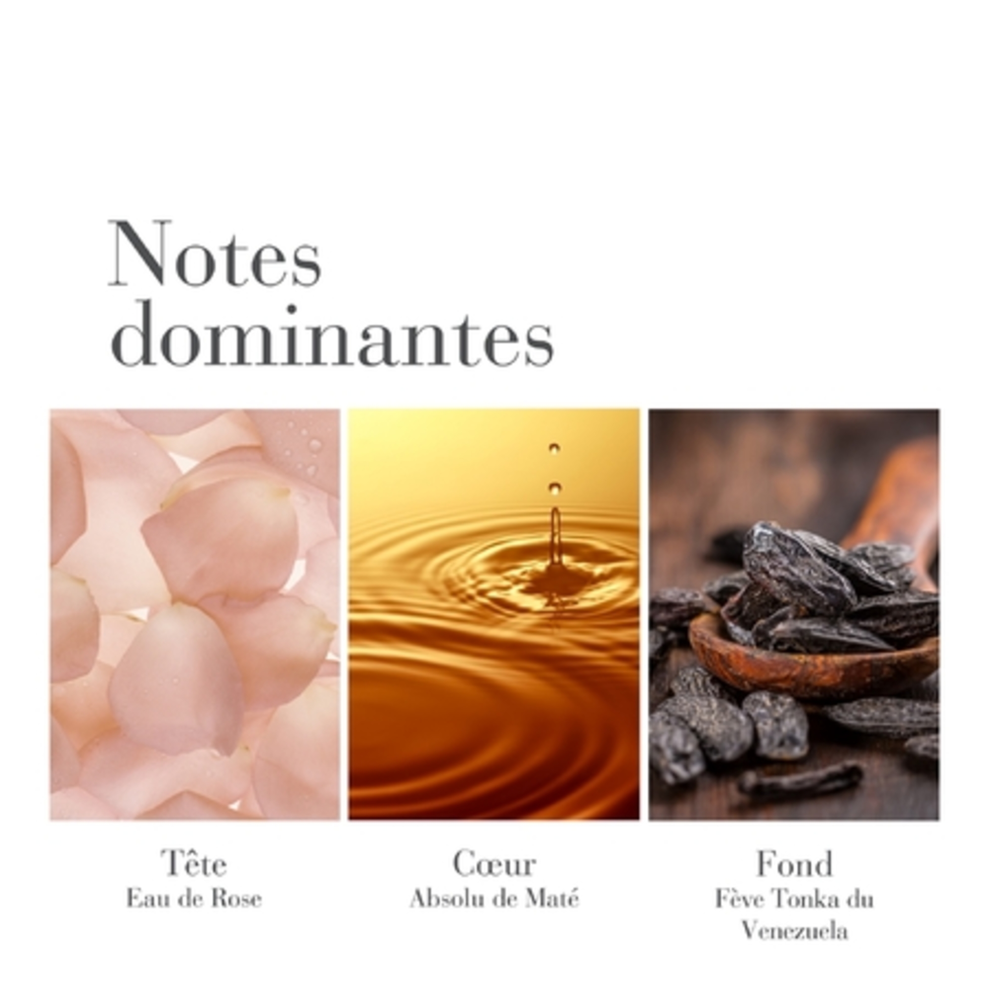 Aqua-crème pour le corps