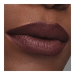  Estée Lauder PURE COLOR Rouge à lèvres mat  3 of 4 Rouge à lèvres mat