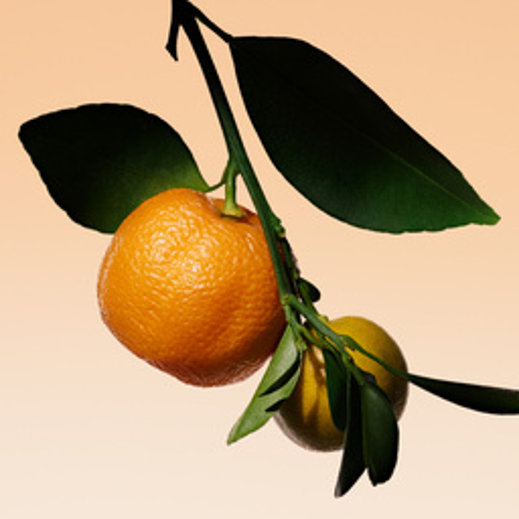 100ML ARMANI PRIVE ORANGE MEDITERRANEE Eau de toilette 1 of 4