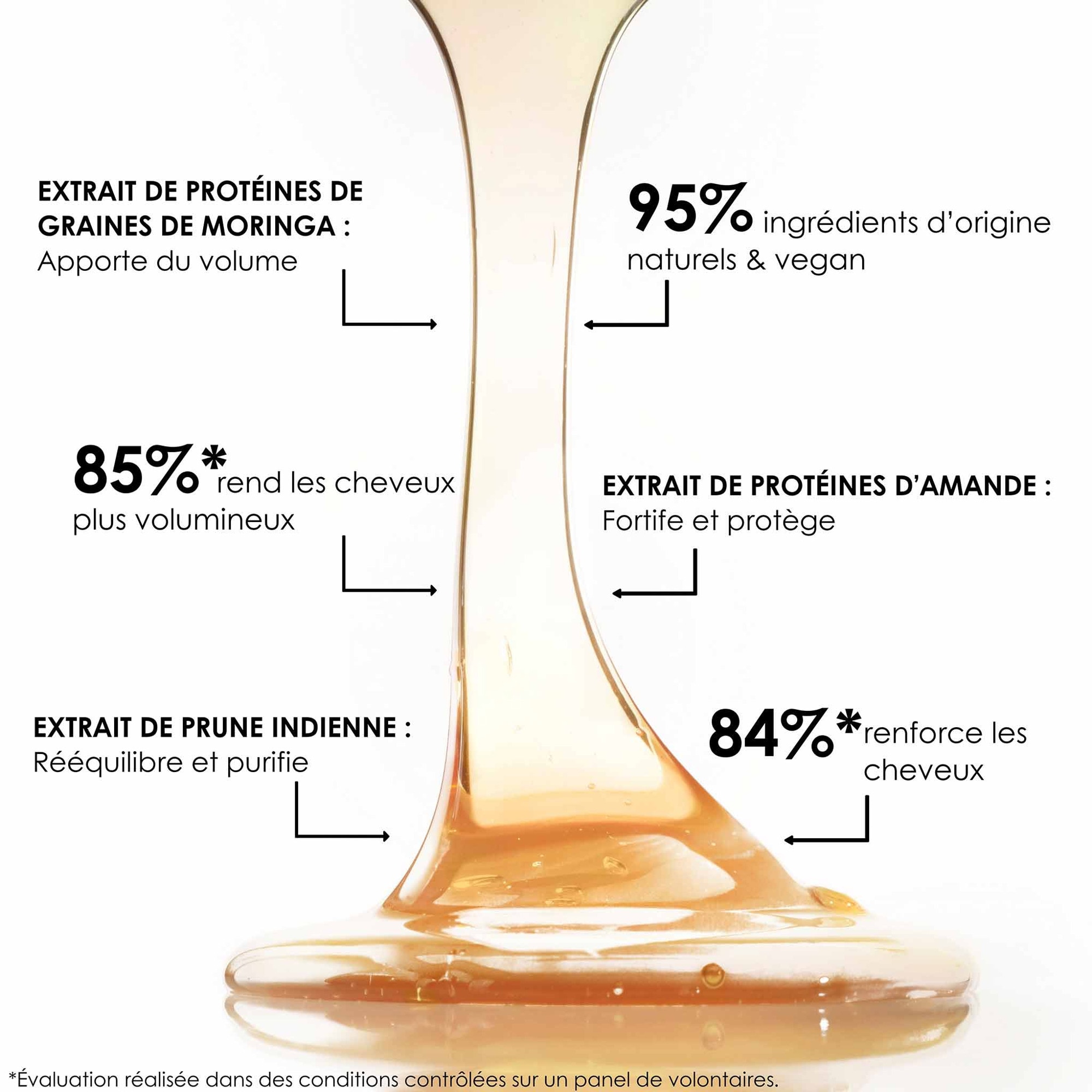200ML Leonor Greyl SHAMPOOING ÉNERGISANT Shampooing fortifiant et volumateur  3 of 4 Shampooing fortifiant et volumateur