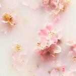 200ML RITUALS THE RITUAL OF SAKURA Mousse de douche  2 of 4 Mousse de douche