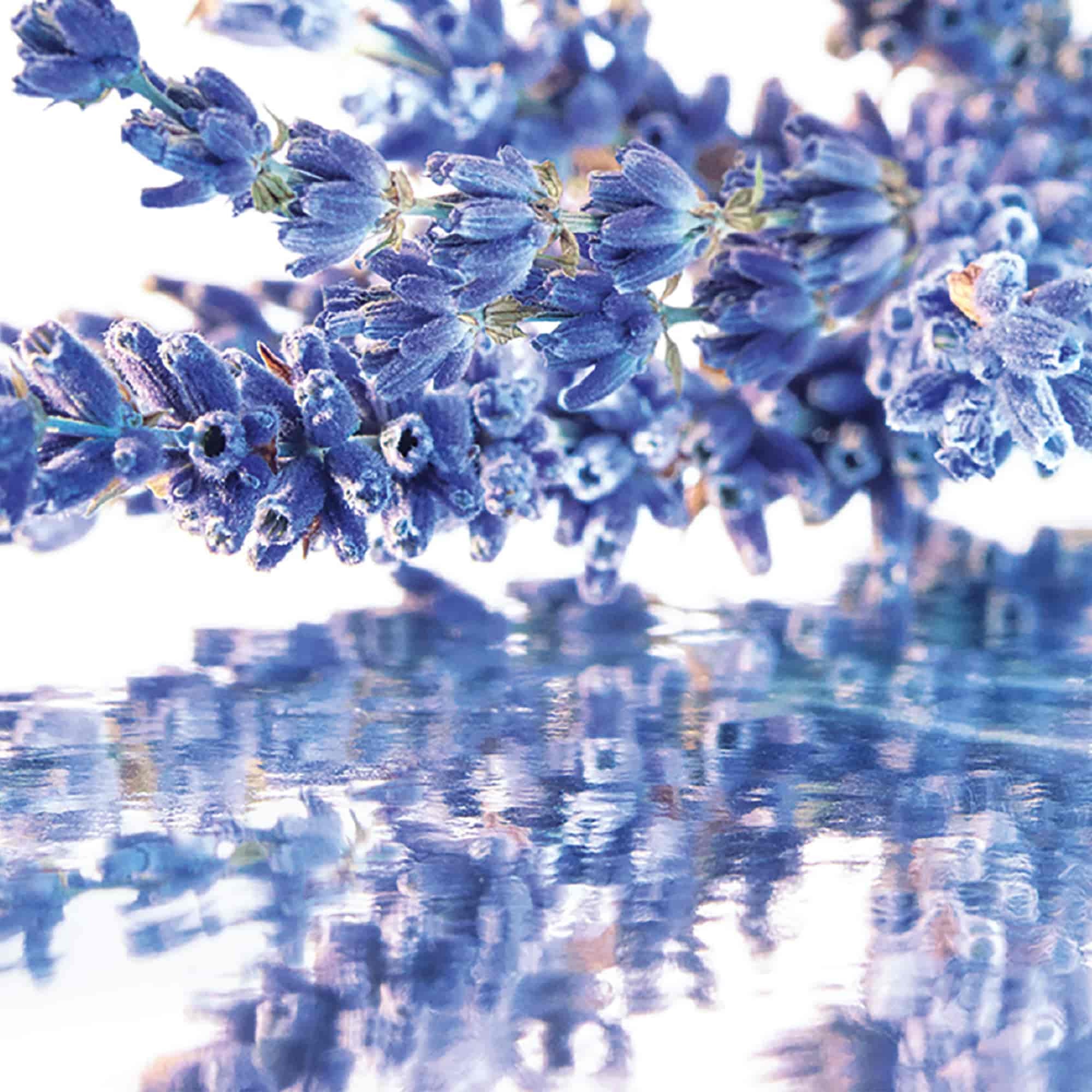 Coffret eau de parfum + miniature + lait pour le corps