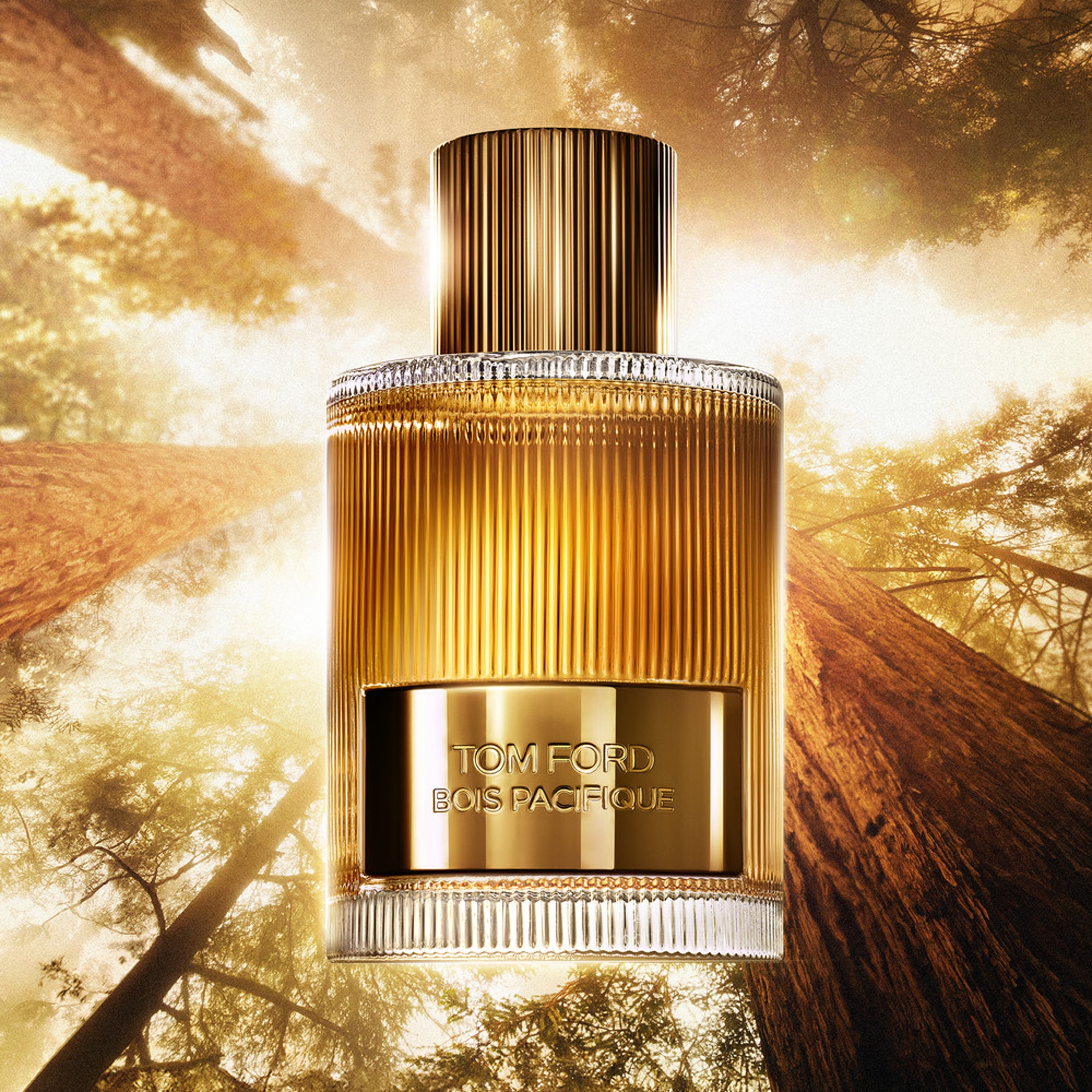100mL Tom Ford BOIS PACIFIQUE Eau de parfum  1 of 4 