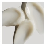 50ML HARVEST 10 HARVEST 10 Crème visage repulpante 2 of 4 Crème visage repulpante