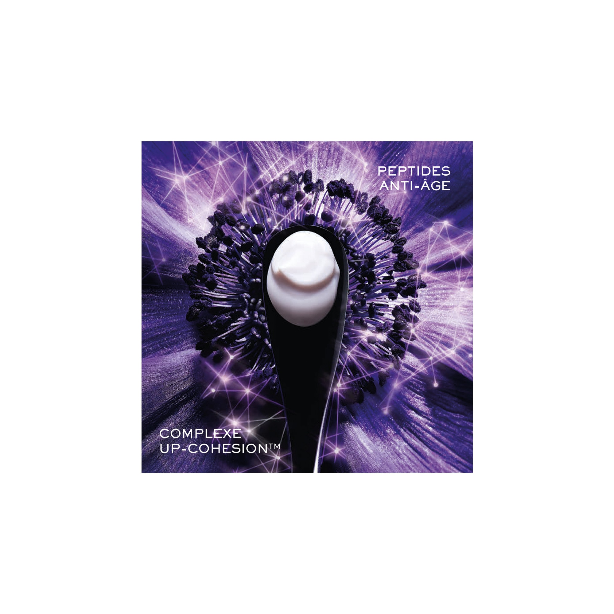 Coffret - crème + sérum + crème yeux + crème nuit