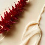 150ml Leonor Greyl APRÈS-SHAMPOOING Crème de soin à l'amarante 3 of 4 Crème de soin à l'amarante